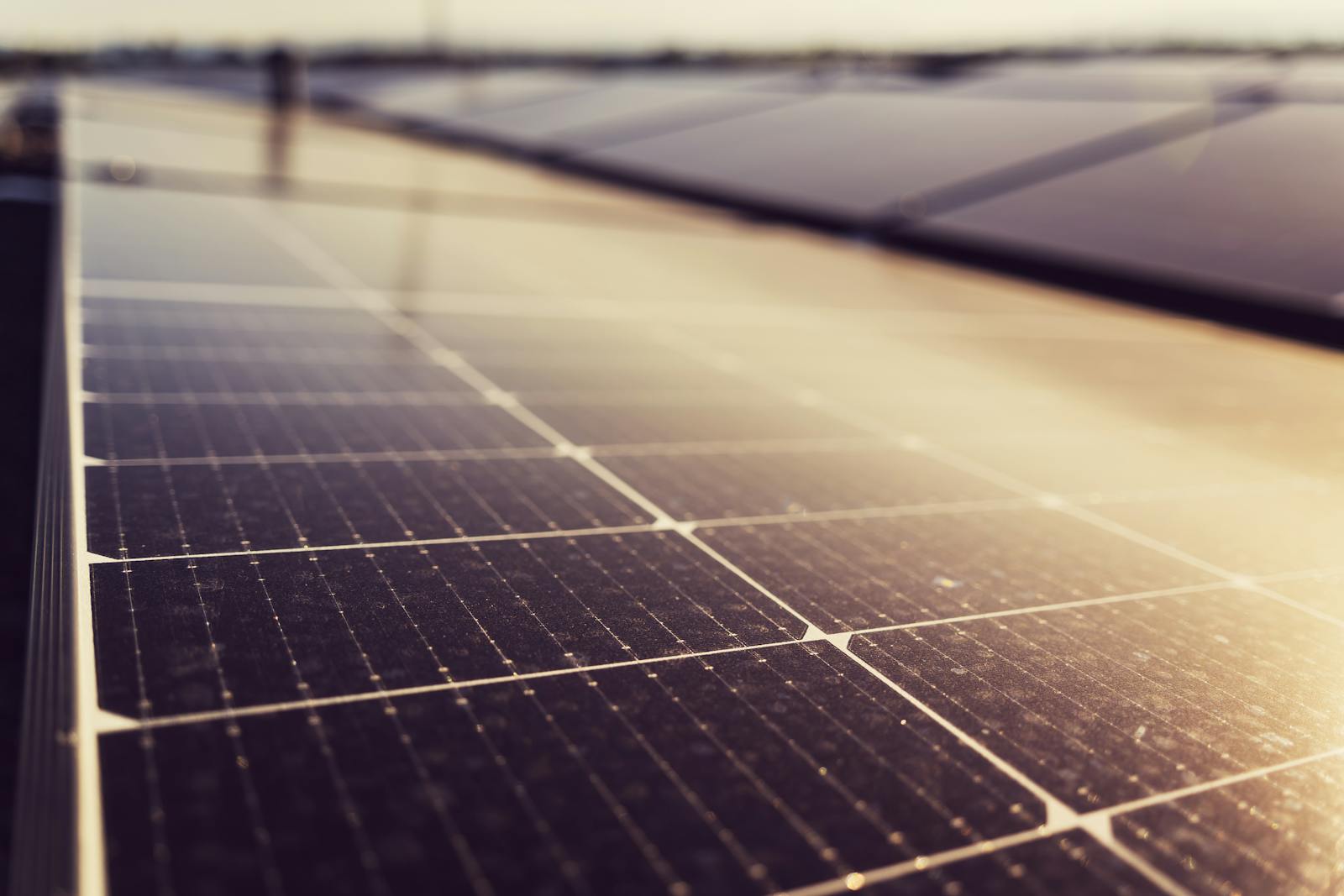 Close-up of a solar panel surface in warm light